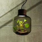 Nui Studio’s Stylish Hanging Plant Lights