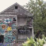 Thousands of Flowers Later and a Condemned House in Detroit is Completely Transformed